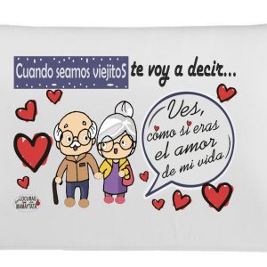 ALMOHADA MINI VIAJE VIEJITOS